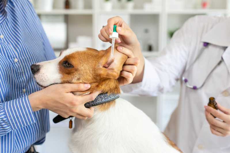 Agendamento de Exames Laboratoriais para Cachorro Parque Continental - Exames Laboratoriais para Cachorro Santos