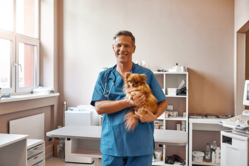 Clinica de Exame Laboratorial Veterinario Porto Alemoa - Exames em Animais