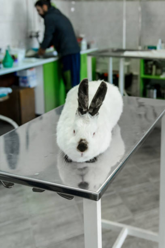 Clinica de Exames Laboratoriais Pet Jardim Rio Negro - Exames Pré Operatórios em Animais