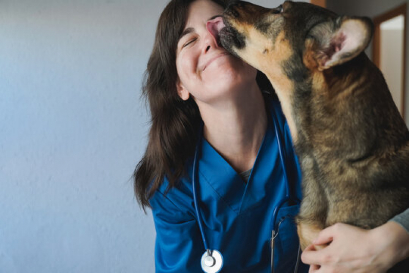Clínica Especializada em Exame Cardiologico Cachorro Porto Paquetá - Exame Holter para Cachorros