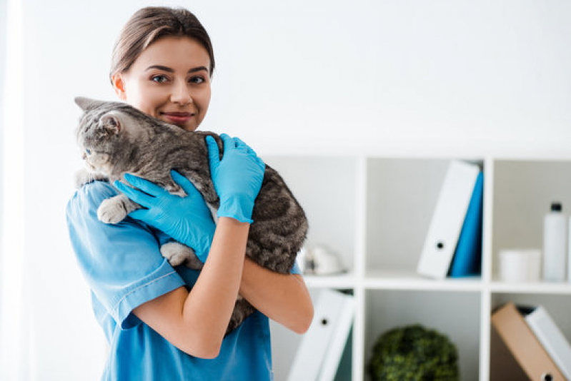 Clínica Especializada em Exame de Fezes para Gato Jardim Castelo - Exames de Urina para Animais Silvestres