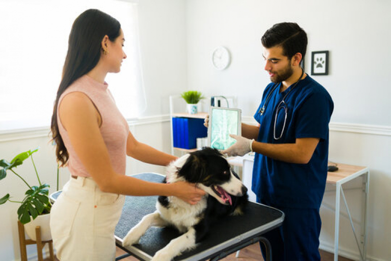 Clínica Especializada em Exame de Raspagem de Pele Cachorro Valongo - Exame Dermatologico para Cachorro