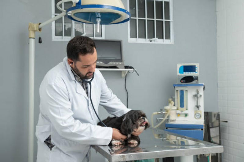 Clínica Que Faz Exame Cardiológico Animais Samarita - Exame Cardiológico para Cães e Gatos