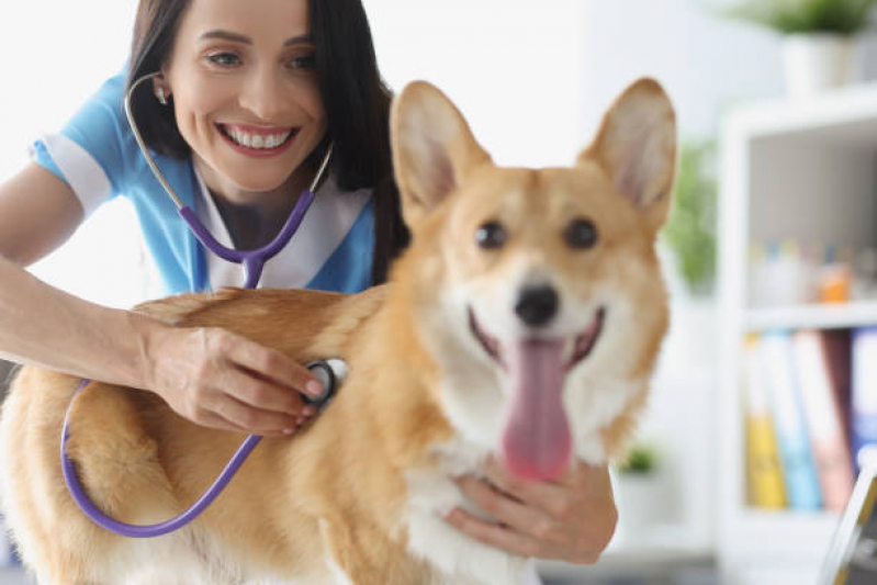 Clínica Que Faz Exame Cardiológico Veterinário Mongaguá - Exame Cardiológico para Cães e Gatos