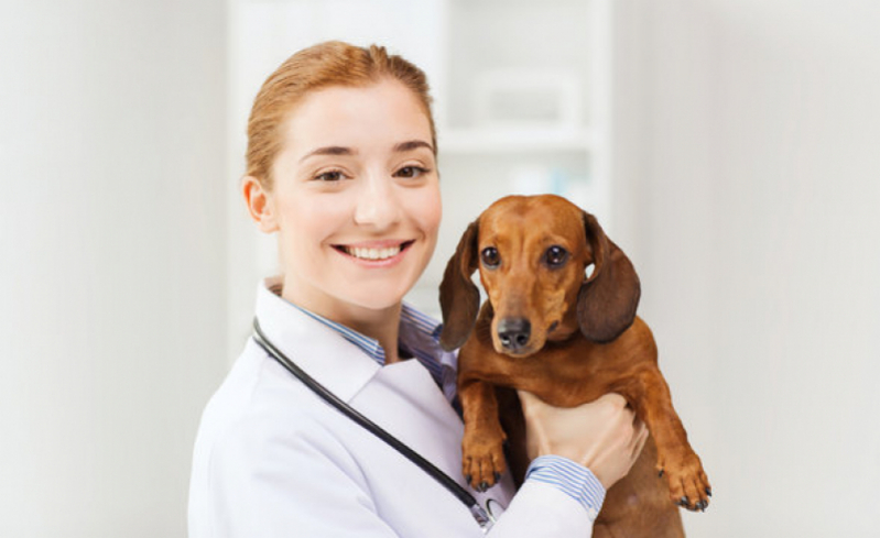 Clínica Que Faz Exames Laboratoriais de Cachorro Marapé - Exame de Urina em Cachorro