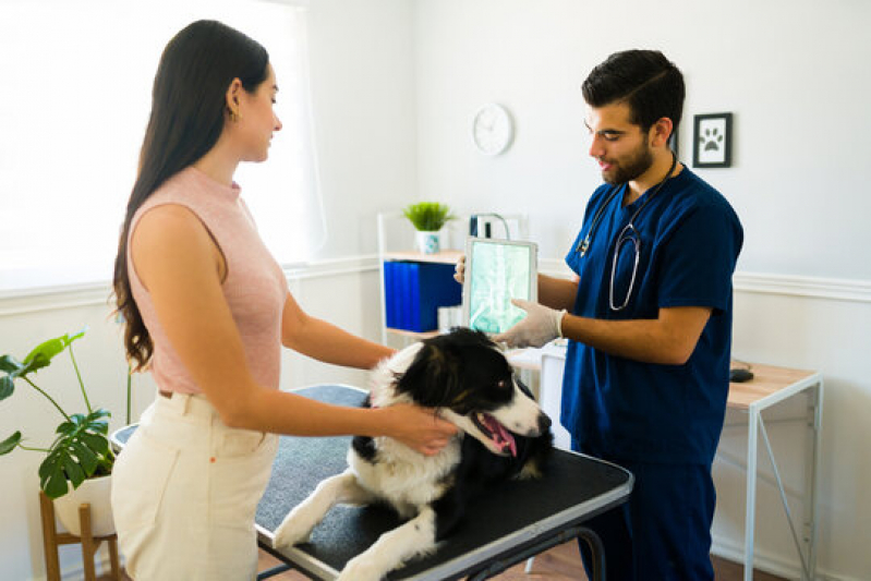 Clínica Que Faz Rx Cachorro Vila Matias - Radiografia para Animais