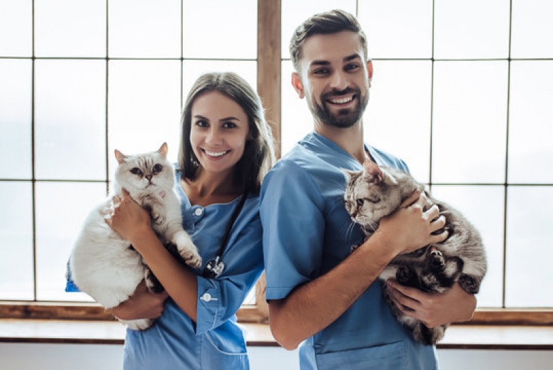 Clínica Que Faz Teste para Fiv Felv Pompéia - Teste Fiv e Felv para Gatos