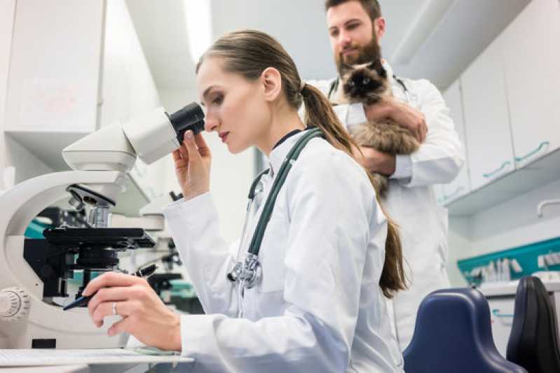 Contato de Laboratório Veterinário Pet Caruara - Laboratório Veterinário