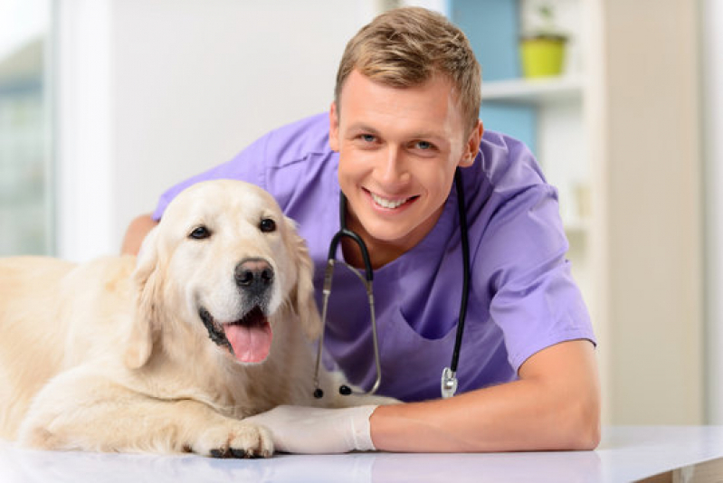 Exame de Coração para Cachorro Agendar Embaré - Exame Holter para Animais