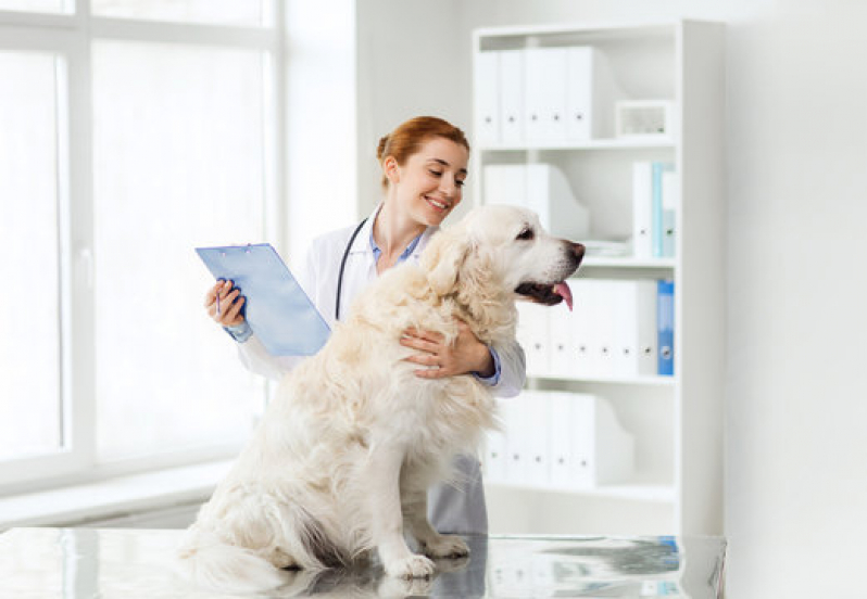 Exames de Urina para Cachorro Paquetá - Exame de Sangue para Animais Silvestres