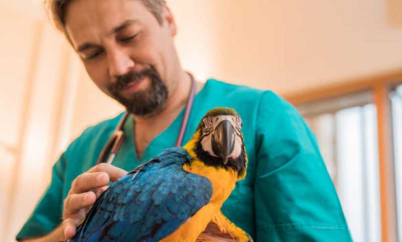 Exames Laboratoriais Aves Jardim Rio Negro - Exames Laboratoriais para Pets