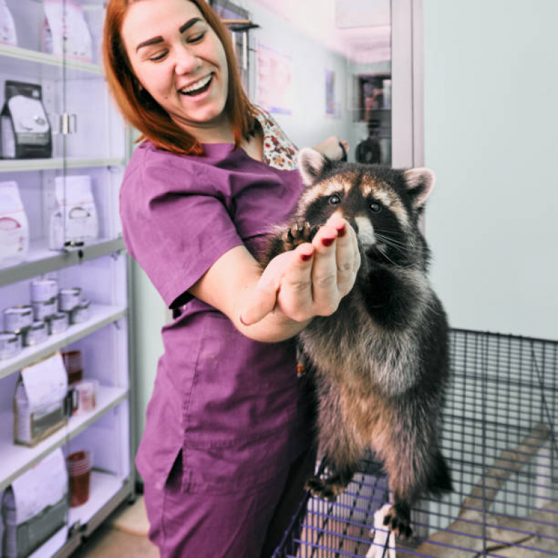 Exames Laboratoriais de Animais Agendar Vila Margarida - Exames Laboratoriais Pet
