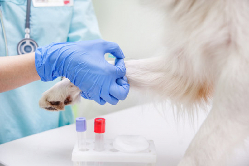 Laboratorio Animal Paquetá - Laboratório de Análises Veterinárias
