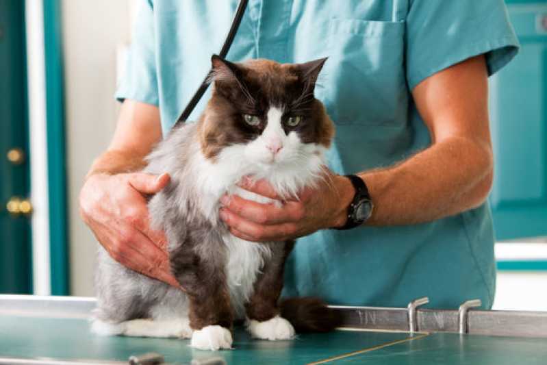Laboratório de Medicina Veterinária Pompéia - Laboratório para Exames em Animais