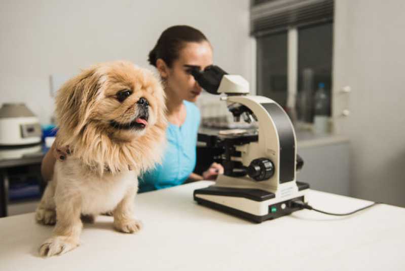 Laboratório Veterinário Pet Vila Matias - Laboratório para Pets