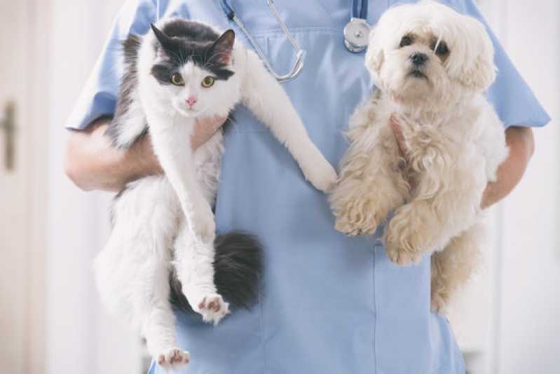 Onde Agendar Exames Laboratoriais para Cães e Gatos Mongaguá - Exames Laboratoriais para Cachorro Santos