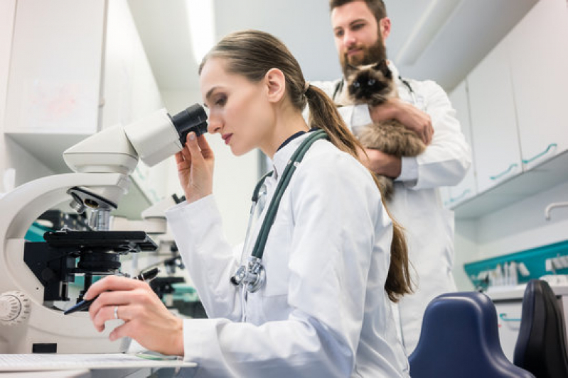 Onde Faz Exame Coproparasitológico Veterinário Gonzaga - Exames Check Up Cachorro