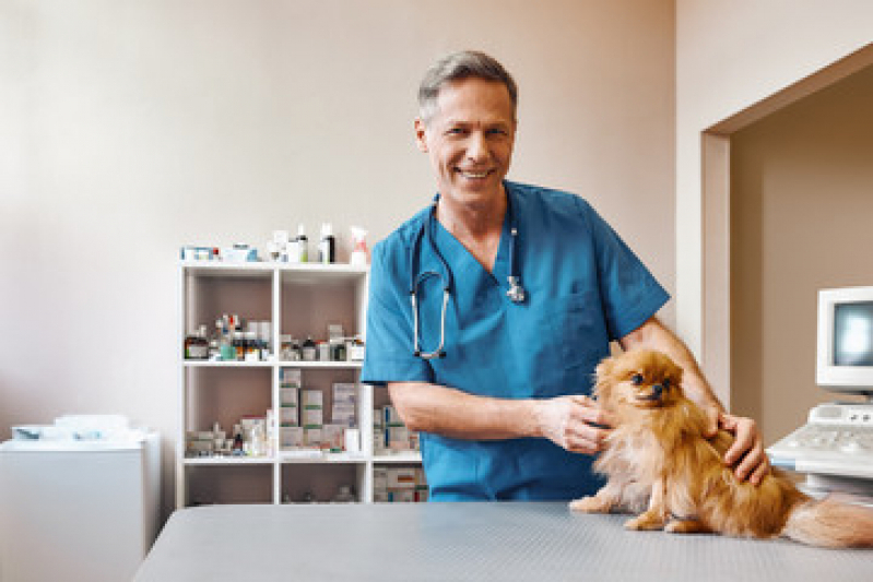 Onde Fazer Check Up Veterinário para Animais de Estimação Parque São Vicente - Check Up Veterinário para Cães e Gatos