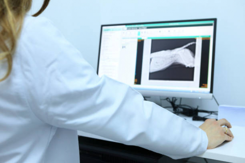 Onde Fazer Radiografia Animais Caneleira - Radiografia para Animais
