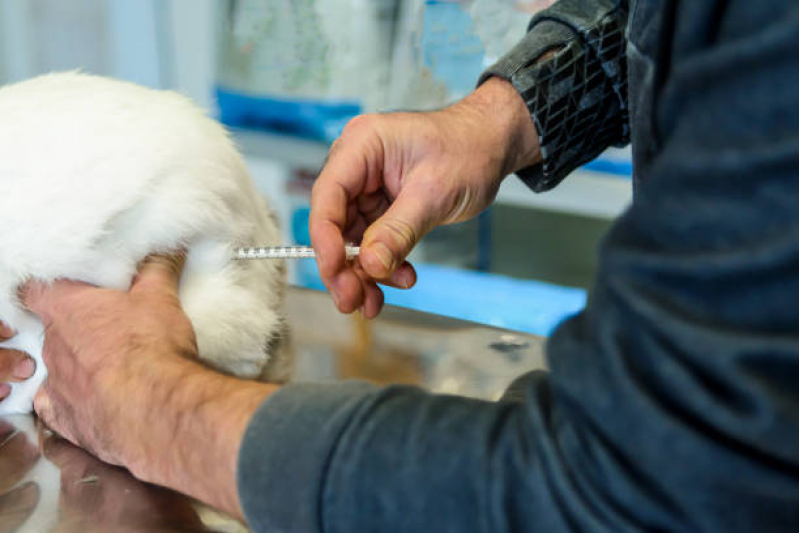 Onde Marcar Exame de Sorologia Animal Baixada Santista - Exames Laboratoriais Pet