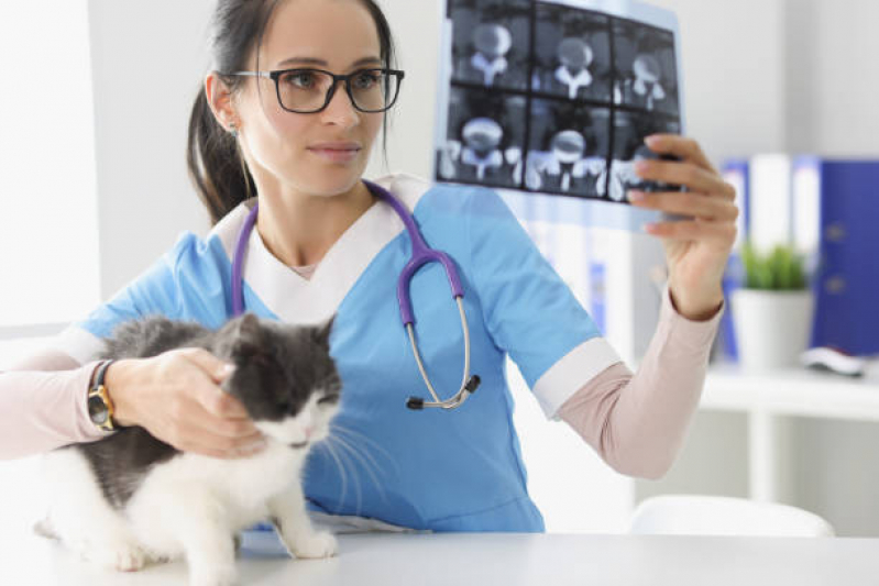 Raio X para Animais Clínica Centro - Radiografia para Animais Santos