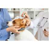 agendamento de exames laboratoriais para cachorro Estuário