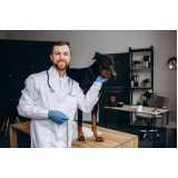 agendamento de exames laboratoriais para cachorros e gatos Morro da Teresinha