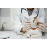 agendamento de exames laboratoriais para cães e gatos Monte Serrat