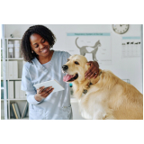 clinica de exame citologia cachorro Conjunto Residencial Humaitá