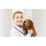 clínica especializada em exame de fezes para cachorro Caneleira