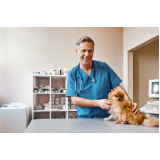 clínica especializada em exame veterinário de fezes Praia Grande
