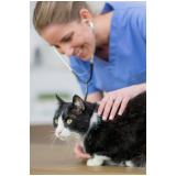 clínica especializada em exames de rotina gatos Vila Margarida