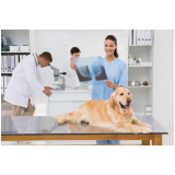 clínica especializada em raio x em animais Conjunto Residencial Humaitá