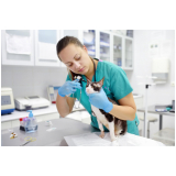 clínica que faz diagnóstico imagem veterinária Vila Ema