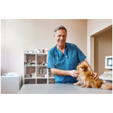 clínica que faz diagnóstico por imagem para a prática veterinária Parque São Vicente