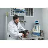 clínica que faz exame cardiológico animais Vila Mateo Bei