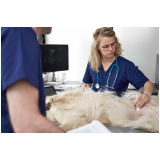 clínica que faz exame de sangue em cachorro Conjunto Residencial Humaitá