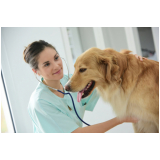 clínica que faz exame de urina em cachorro Vila Rica