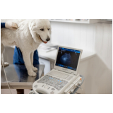 clínica que faz exame de urina em cães Jardim Recanto São Vicente