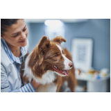 clínica que faz exames laboratoriais cachorro Jardim Castelo