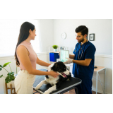 clínica que faz rx cachorro Marapé