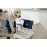clínica que faz ultrassom cachorro Catiapoa