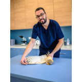 clínica que faz ultrassom para animais exóticos Jardim Rio Branco