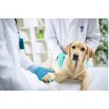 contato de laboratório de análises veterinárias Samarita
