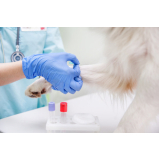 contato laboratorio de analise clinica veterinaria Vila Nova Mariana
