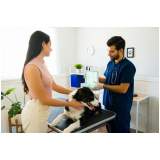 ecocardiograma em cachorro clínica São Vicente