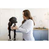 exame cardiológico para animais Vila Ema