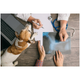 exame citologia cachorro agendar Centro