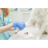 exame coproparasitológico veterinário marcar Samarita