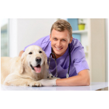 exames de urina para cachorro marcar Santos